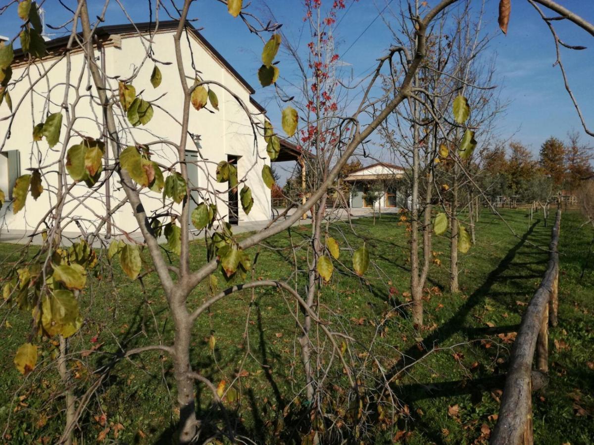 Agriturismo Corte Benetti Rovigo Dış mekan fotoğraf