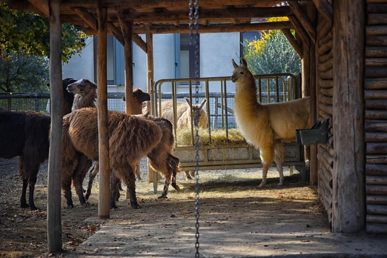Agriturismo Corte Benetti Rovigo Dış mekan fotoğraf