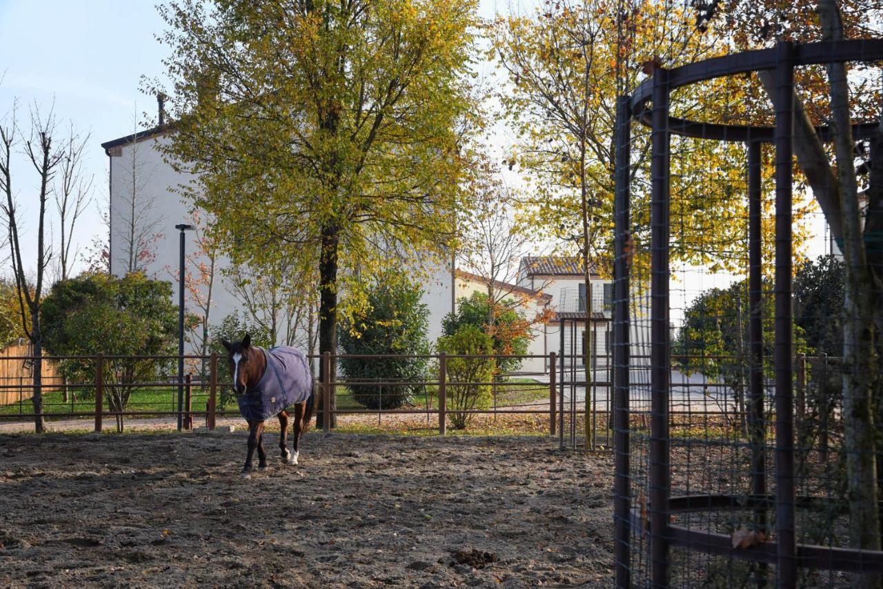 Agriturismo Corte Benetti Rovigo Dış mekan fotoğraf