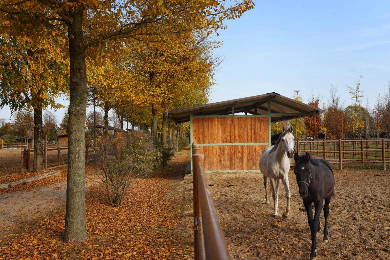 Agriturismo Corte Benetti Rovigo Dış mekan fotoğraf